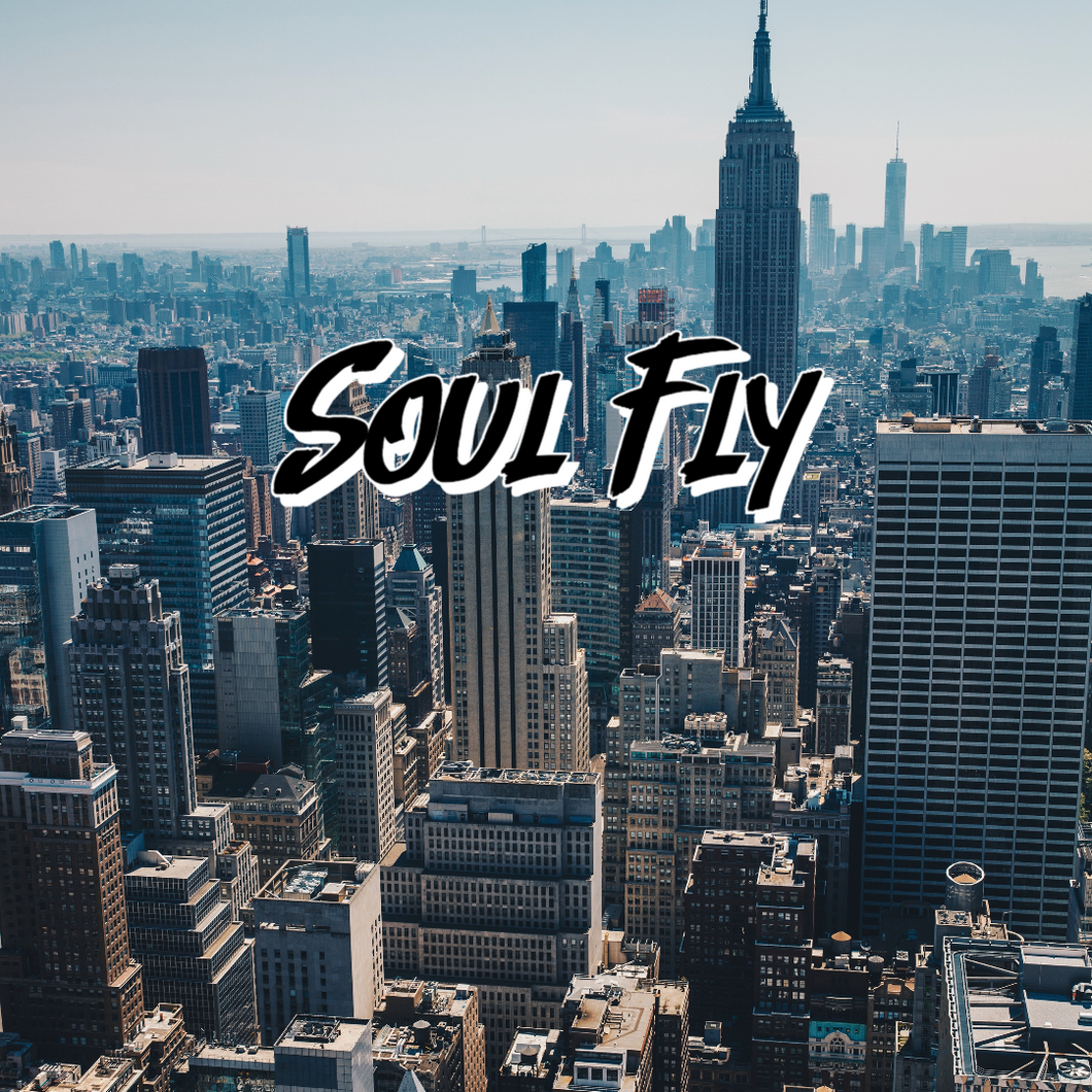 Soul Fly